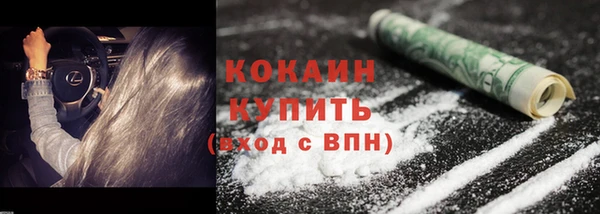 ПСИЛОЦИБИНОВЫЕ ГРИБЫ Слюдянка