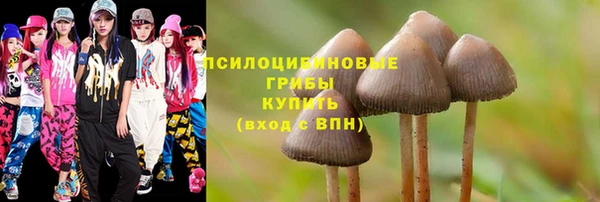 метадон Снежногорск